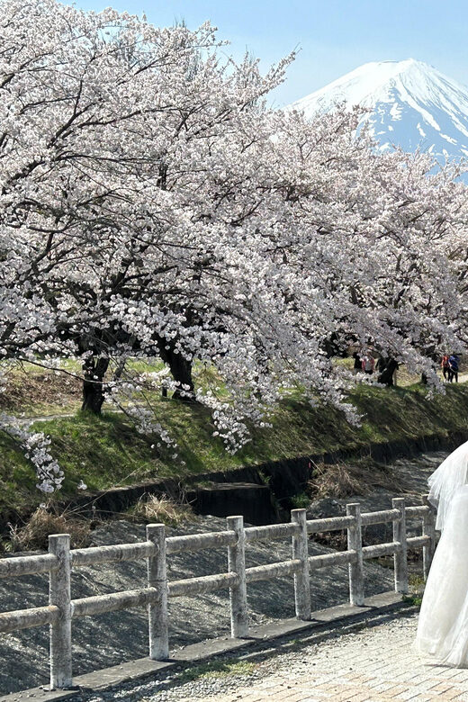 Mt. Fuji & Hakone Private Tour T/F Tokyo, Yokohama up to 12 - FAQ