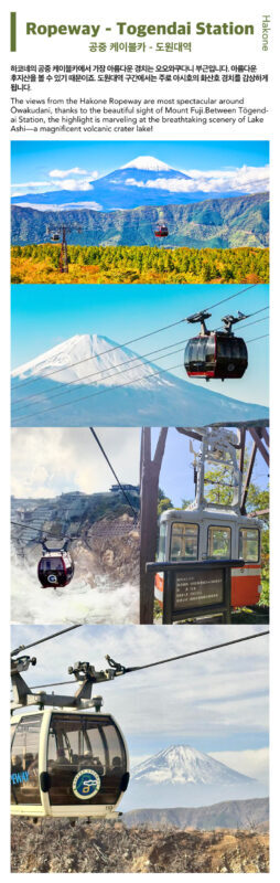 Mt. Fuji, Hakone Ropeway, Lake Ashi, Owakudani day tour - Owakudani’s volcanic steam and black eggs