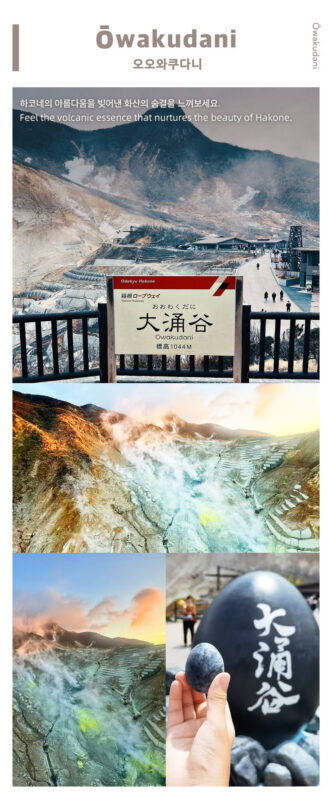 Mt. Fuji, Hakone Ropeway, Lake Ashi, Owakudani day tour - Lunch in Yamanashi