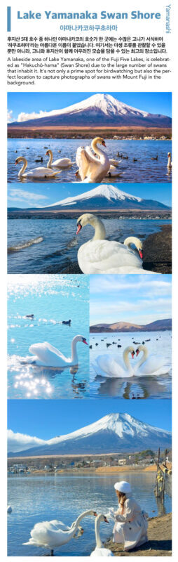 Mt. Fuji, Hakone Ropeway, Lake Ashi, Owakudani day tour - Lake Yamanaka and Oshino Hakkai