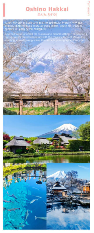 Mt. Fuji, Hakone Ropeway, Lake Ashi, Owakudani day tour - Guides, pace and the real value