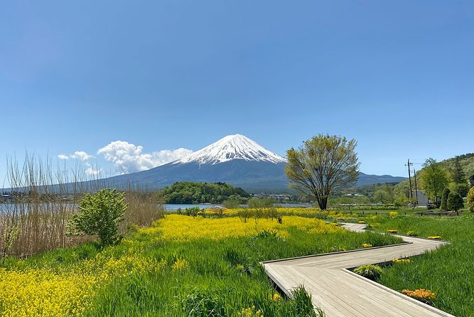 Mt Fuji Half-Day Tour By Car - Overview and Attractions