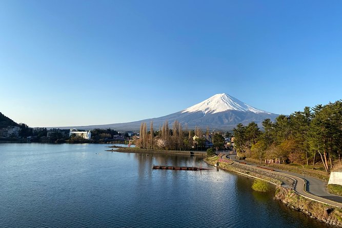 Mt Fuji Half-Day Tour By Car - Inclusions