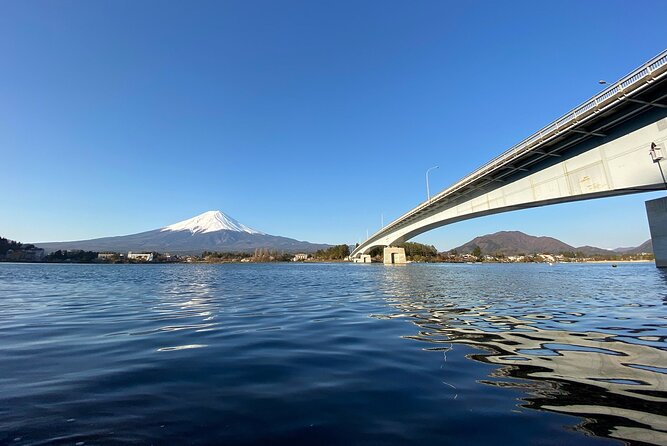 Mt Fuji Half-Day Tour By Car - Meeting and Pickup