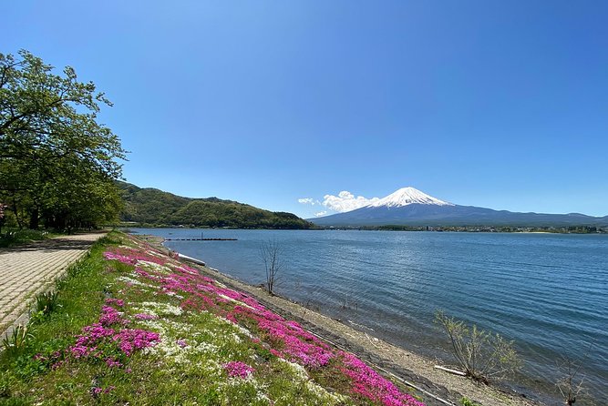 Mt Fuji Half-Day Tour By Car - Common Questions