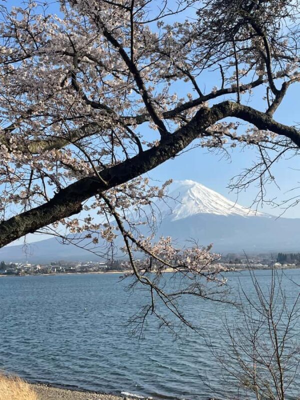 Mt Fuji Hidden Gems with Local Expert Guide - What We Love & Considerations