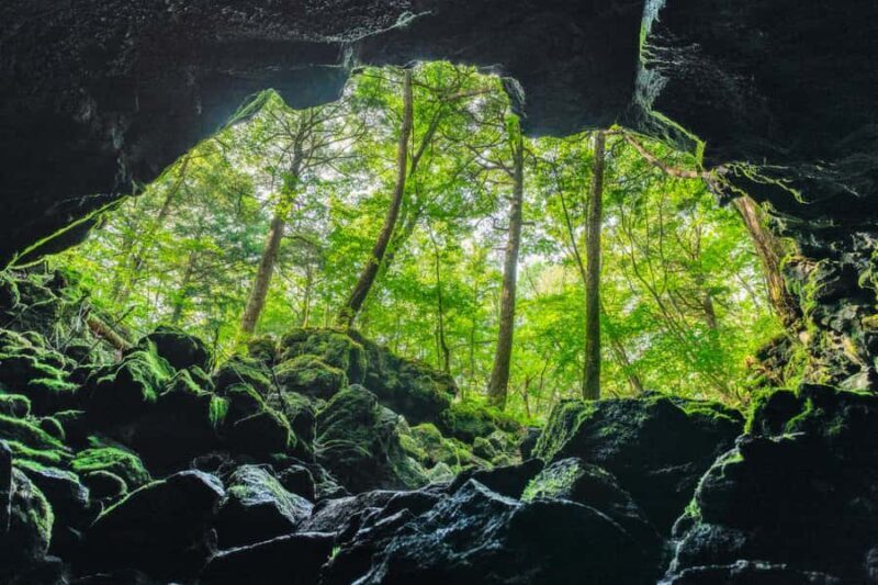 Mt Fuji Hidden Gems with Local Expert Guide - Good To Know