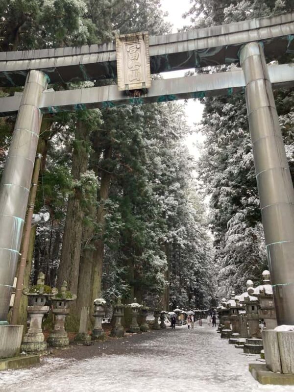 Mt Fuji Hidden Gems with Local Expert Guide - A Closer Look at the Tour Experience