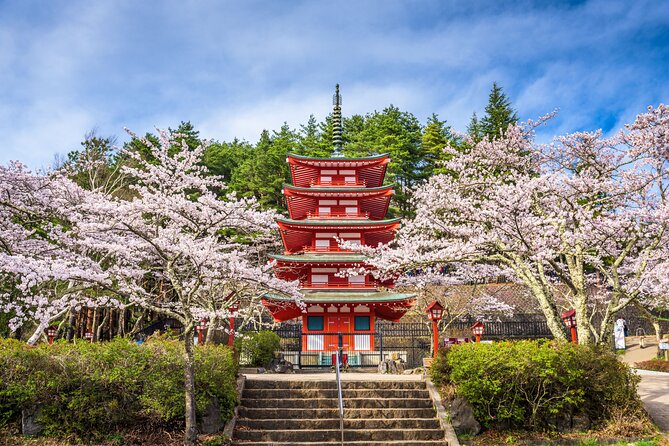 Mt. Fuji Highlight Photo Spots One Day Tour - Souvenir Shopping