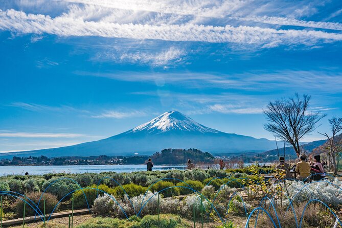 Mt. Fuji Highlight Photo Spots One Day Tour - Return Journey