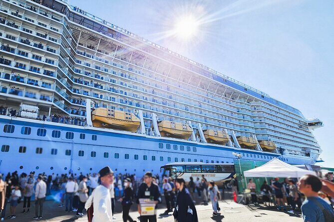 Mt. Fuji Hiking from Shimizu Port - Why You’ll Love the Views and the Guides