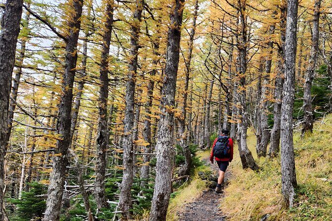 Mt. Fuji Hiking from Shimizu Port - Practical Details: What You Need to Know