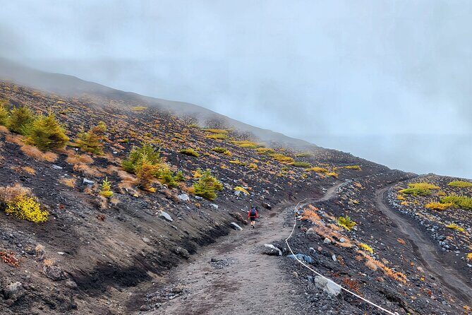 Mt. Fuji Hiking from Shimizu Port - Who Will Enjoy This Tour?