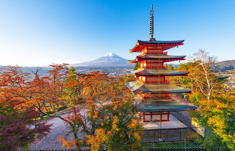 Mt. Fuji Instagram-Worthy Spots Day Tour: Ladder Town, Oshino Hakkai, Lake Kawaguchi, Lawson Convenience Store (Departing from Tokyo Station or Shinjuku Station) - Lunch before Oshino Hakkai