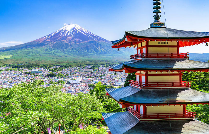 Mt. Fuji Instagram-Worthy Spots Day Tour: Ladder Town, Oshino Hakkai, Lake Kawaguchi, Lawson Convenience Store (Departing from Tokyo Station or Shinjuku Station) - The ponds and pathways of Oshino Hakkai