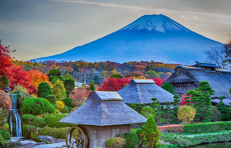 Mt. Fuji Instagram-Worthy Spots Day Tour: Ladder Town, Oshino Hakkai, Lake Kawaguchi, Lawson Convenience Store (Departing from Tokyo Station or Shinjuku Station) - Oishi Park or a seasonal Lake Kawaguchi visit