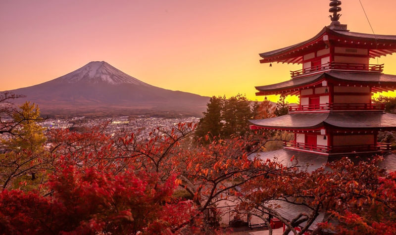 Mt. Fuji Internet-Famous Attractions Small Group Tour (Optional hotel pick-up and drop-off, departing from Tokyo) - Five Fuji-area stops, one day away from Tokyo