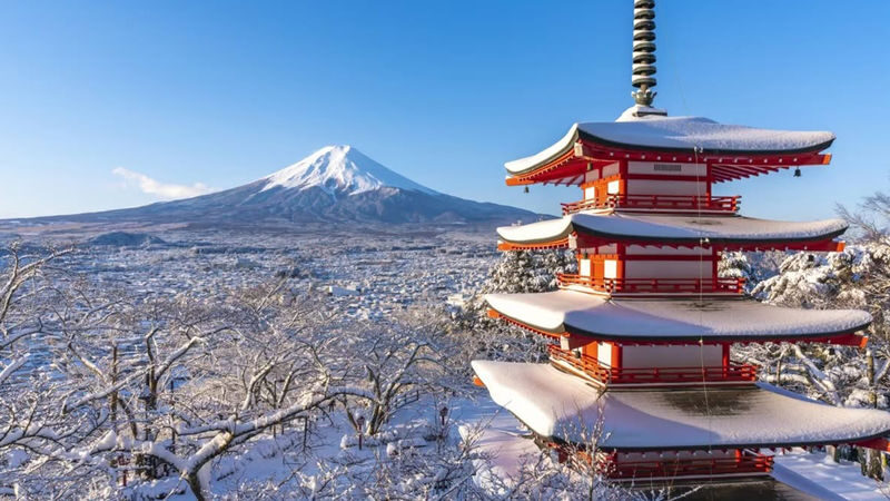 Mt. Fuji Internet-Famous Attractions Small Group Tour (Optional hotel pick-up and drop-off, departing from Tokyo) - Chureito Pagoda and the Fuji view