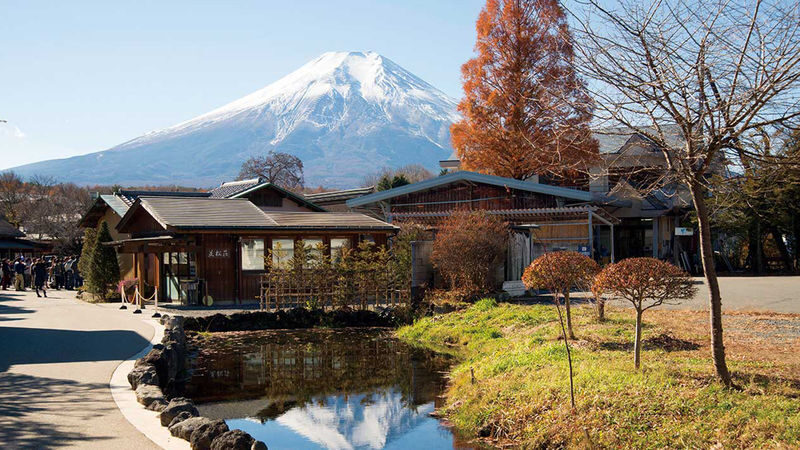 Mt. Fuji Internet-Famous Attractions Small Group Tour (Optional hotel pick-up and drop-off, departing from Tokyo) - Getting around, group size, and walking