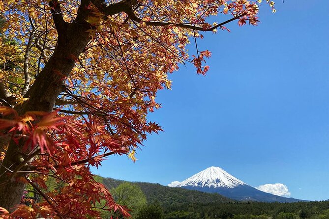Mt Fuji Japanese Crafts Village and Lakeside Bike Tour - Tour Overview