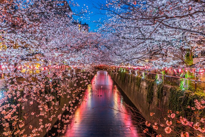 Mt Fuji Kawaguchi/Hakone/Yokohama Tokyo Customize Private Car - Customer Reviews and Ratings