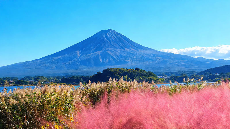 Mt. Fuji Kawaguchiko & Lake Yamanaka & Chureito Pagoda Small Group Day Tour (Optional Hotel Pick-up/Drop-off & Private Charter Available) - Small group or private charter?