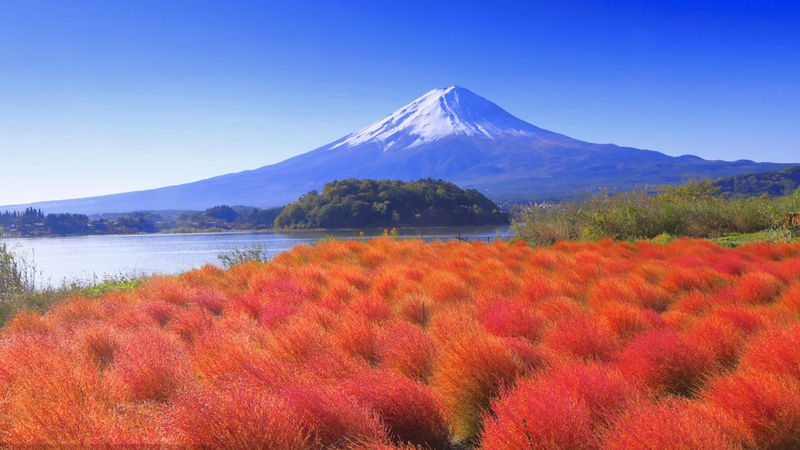 Mt. Fuji Kawaguchiko & Lake Yamanaka & Chureito Pagoda Small Group Day Tour (Optional Hotel Pick-up/Drop-off & Private Charter Available) - What the price buys, and what it cannot