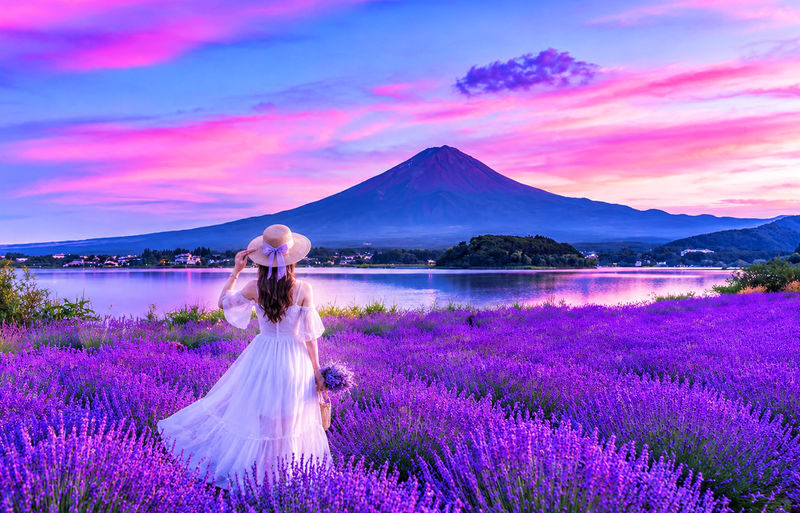 Mt. Fuji | Kawaguchiko Seasonal Limited-Time Views of Mt. Fuji & Lake Yamanaka Onsen/Cruise Day Trip | Departs from Tokyo/Shinjuku - At a glance