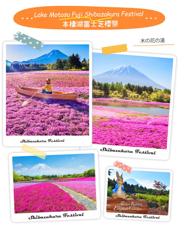 Mt. Fuji | Kawaguchiko Seasonal Limited-Time Views of Mt. Fuji & Lake Yamanaka Onsen/Cruise Day Trip | Departs from Tokyo/Shinjuku - Guides, language and the shared-bus rhythm