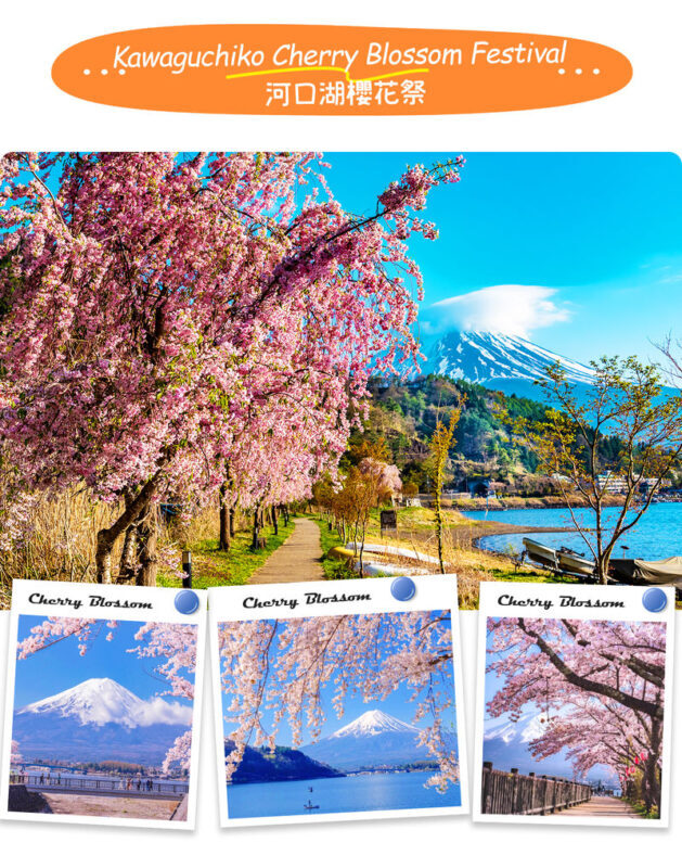 Mt. Fuji | Kawaguchiko Seasonal Limited-Time Views of Mt. Fuji & Lake Yamanaka Onsen/Cruise Day Trip | Departs from Tokyo/Shinjuku - The long ride back to Tokyo