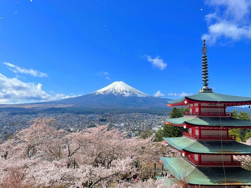 Mt. Fuji & Lake Cruise, handcraft noodles by Professional guide - The day at a glance