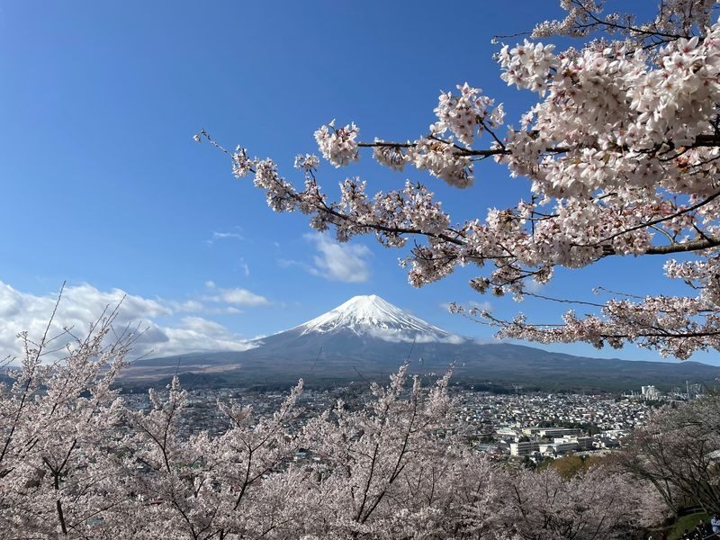 Mt. Fuji & Lake Cruise, handcraft noodles by Professional guide - Oshino Hakkai’s spring-fed ponds