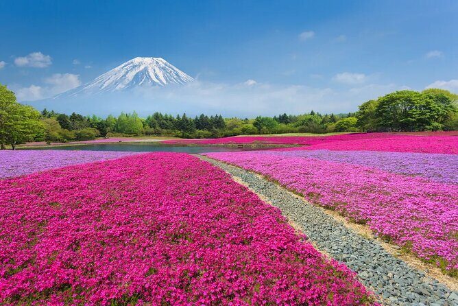 Mt Fuji Lake Kawaguchi and Yamanakako Onsen Tour from Tokyo - Discover Mount Fuji and Its Stunning Surroundings on a Full-Day Tour from Tokyo