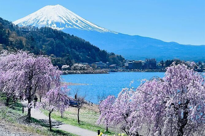 Mt Fuji Lake Kawaguchi and Yamanakako Onsen Tour from Tokyo - Good To Know