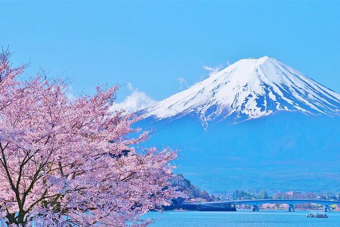 Mt Fuji Lake Kawaguchi and Yamanakako Onsen Tour from Tokyo - Final Thoughts: Is This Tour Worth It?