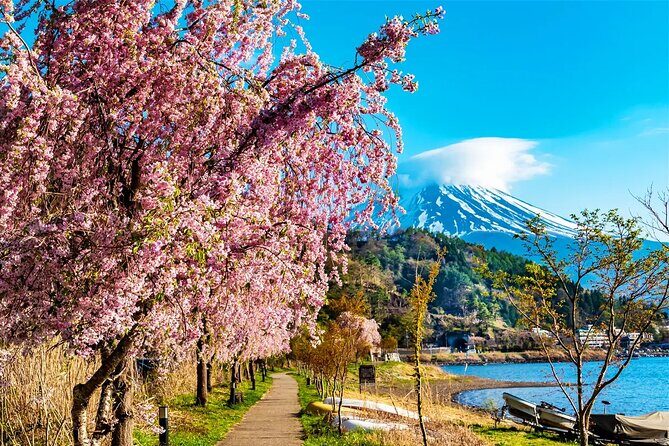 Mt Fuji Lake Kawaguchi and Yamanakako Onsen Tour from Tokyo - The Value of This Tour