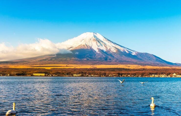 Mt.Fuji, Lake Kawaguchi &Yamanaka, Hot Spring Full-Day Tour - Good To Know