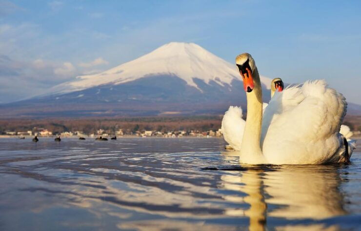 Mt.Fuji, Lake Kawaguchi &Yamanaka, Hot Spring Full-Day Tour - Itinerary Highlights