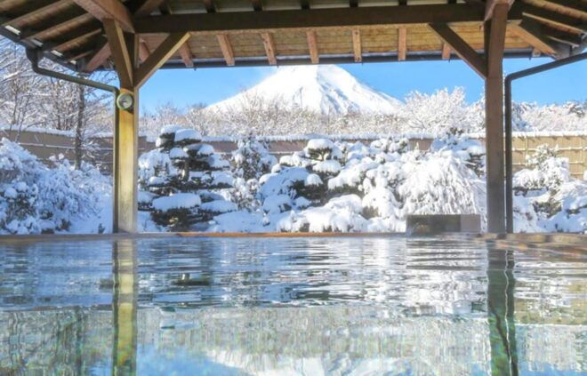 Mt.Fuji, Lake Kawaguchi &Yamanaka, Hot Spring Full-Day Tour - Inclusions and Fees