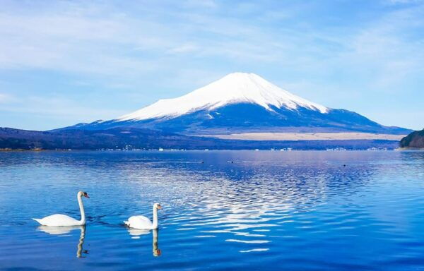 Mt.Fuji, Lake Kawaguchi &Yamanaka, Hot Spring Full-Day Tour - Important Guidelines