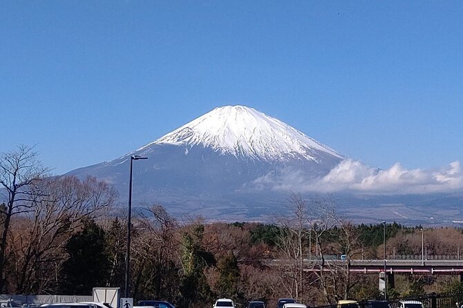 Mt. Fuji, Lake Kawaguchiko Private Tour With Pick up - Vehicle Options