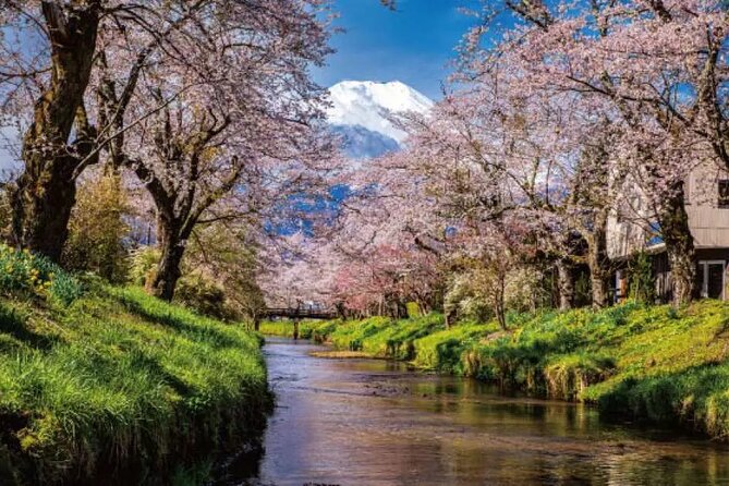 Mt. Fuji Majestic Tours : Shinjuku to Arakurayama and Beyond - Additional Information
