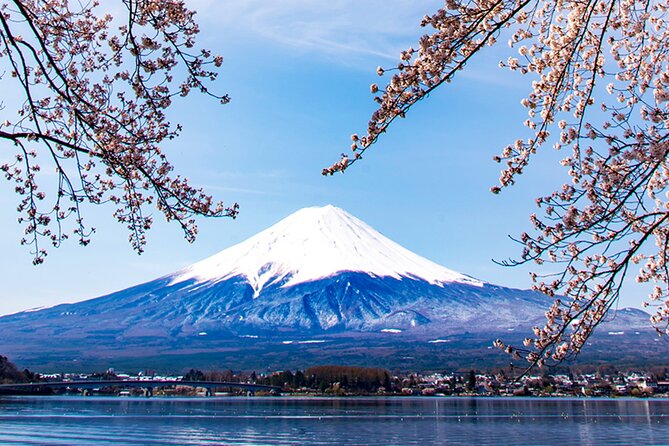 Mt. Fuji, Mt Fuji Panoramic Ropeway & Seasonal Fruits Picking - Mt. Fuji: A Majestic Sight