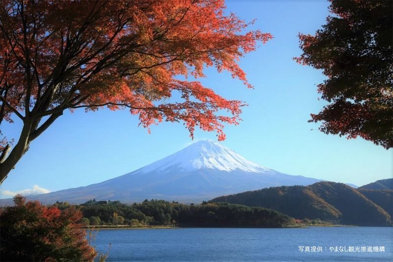 Mt. Fuji, Oishi Park & Arakurayama Pagoda Bus Tour with Lunch - A day trip built around Fuji’s changing views