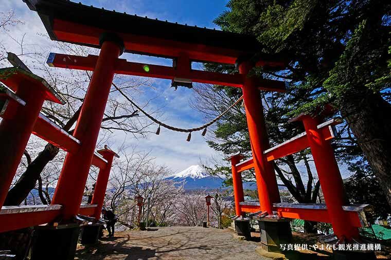 Mt. Fuji, Oishi Park & Arakurayama Pagoda Bus Tour with Lunch - Japanese lunch at a local hotel