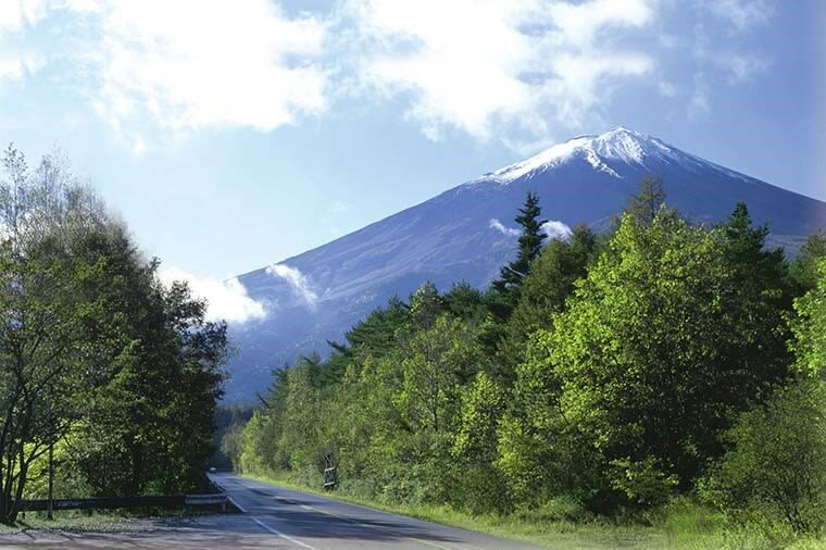 Mt. Fuji, Oishi Park & Arakurayama Pagoda Bus Tour with Lunch - Is the $94.85 starting price good value?