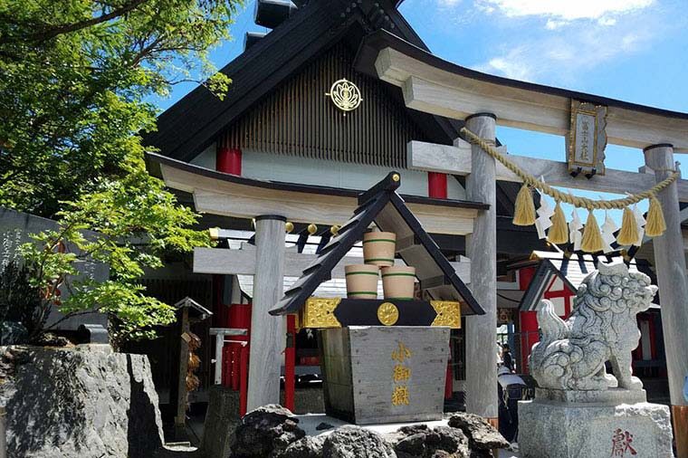 Mt. Fuji, Oishi Park & Arakurayama Pagoda Bus Tour with Lunch - Practical details that can save you a headache