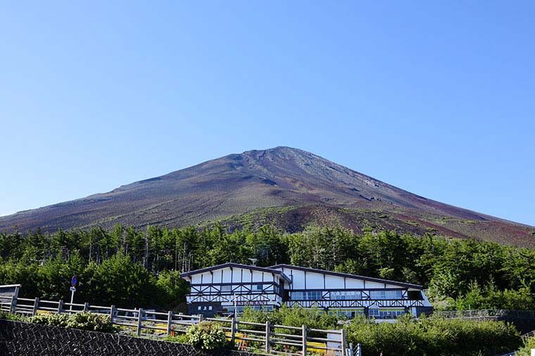 Mt. Fuji, Oishi Park & Arakurayama Pagoda Bus Tour with Lunch - Who will get the most from this tour?