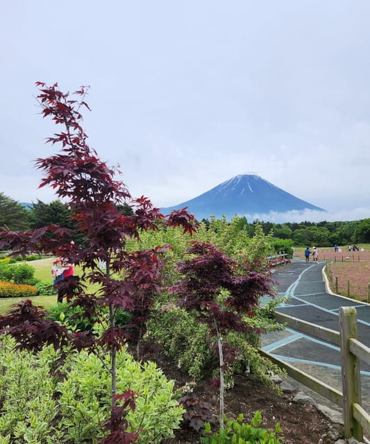 Mt. Fuji One Day Private Tour by Car With English Driver - Key Stops and Attractions