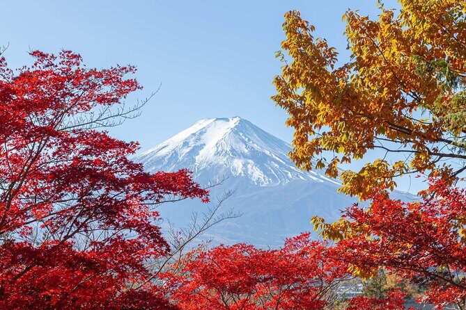 Mt. Fuji Oshino Hakkai and Gotemba Outlets Tour - FAQ